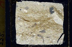 Cross Polarized, S35083