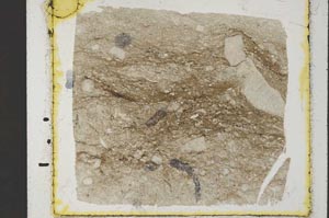 Plane Polarized, S35083