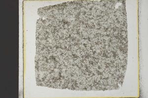 Plane Polarized, S35097