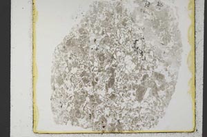 Plane Polarized, S35113