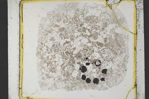 Plane Polarized, S35117