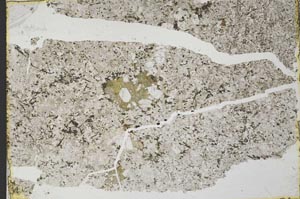 Plane Polarized, S35131/A