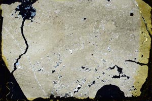 Cross Polarized, S35149
