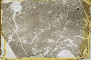 Plane Polarized, S35149