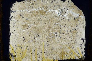 Cross Polarized, S35150