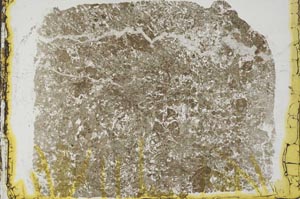 Plane Polarized, S35150