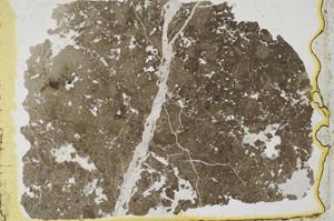 Plane Polarized, S35151