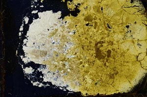 Cross Polarized, S35152