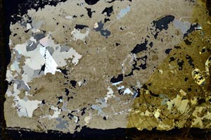 Cross Polarized, S35153