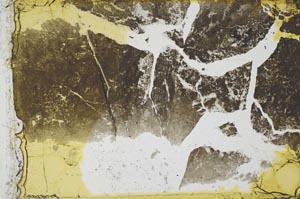 Plane Polarized, S35154