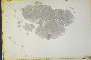 Plane Polarized, S35156