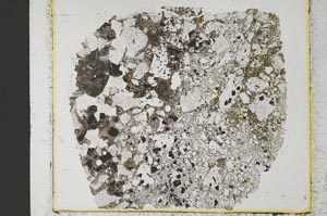 Plane Polarized, S35172