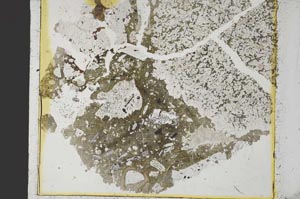 Plane Polarized, S35173
