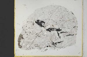 Plane Polarized, S35177