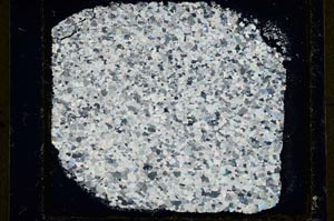 Cross Polarized, S35178