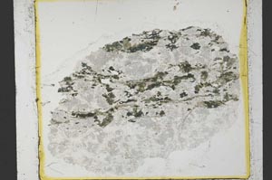 Plane Polarized, S35204