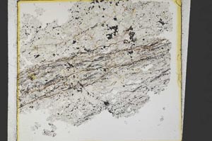 Plane Polarized, S35220