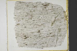 Plane Polarized, S35227