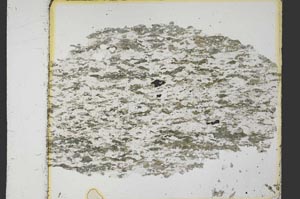 Plane Polarized, S35229