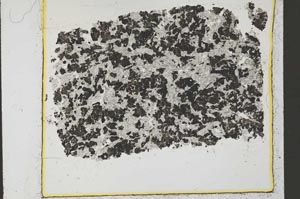 Plane Polarized, S35235