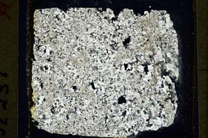 Cross Polarized, S35241