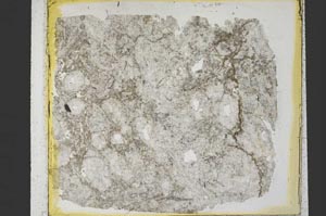 Plane Polarized, S35241