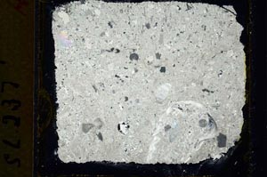 Cross Polarized, S35242