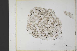 Plane Polarized, S35243