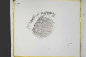 Plane Polarized, S35245