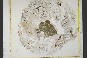 Plane Polarized, S35255