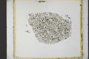 Plane Polarized, S35259