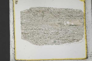 Plane Polarized, S35276
