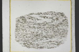 Plane Polarized, S35279