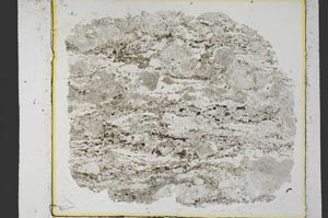 Plane Polarized, S35290