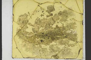 Plane Polarized, S35291