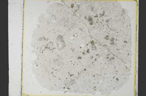 Plane Polarized, S35317