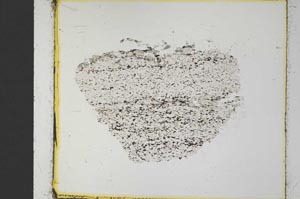 Plane Polarized, S35327