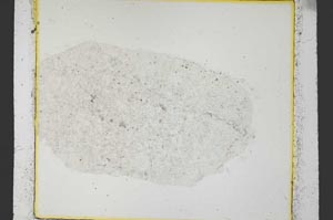 Plane Polarized, S35359