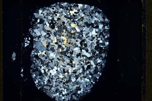 Cross Polarized, S35409