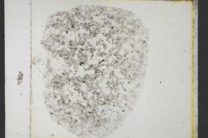 Plane Polarized, S35409