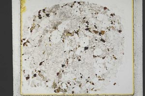 Plane Polarized, S35410