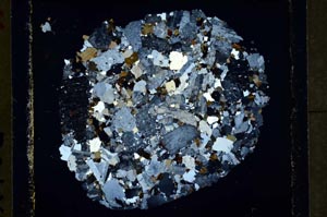 Cross Polarized, S35411