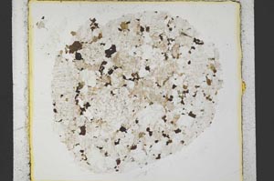 Plane Polarized, S35411