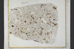 Plane Polarized, S35412