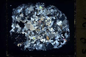 Cross Polarized, S35414