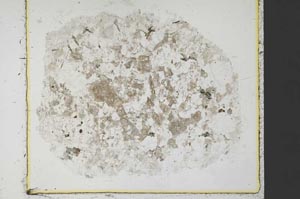 Plane Polarized, S35414