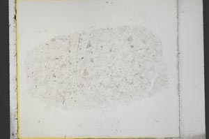 Plane Polarized, S35415