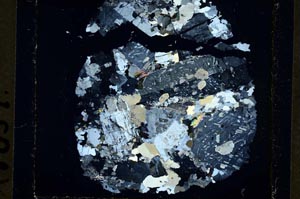 Cross Polarized, S35416