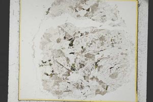 Plane Polarized, S35416