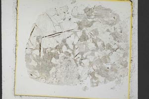 Plane Polarized, S35417